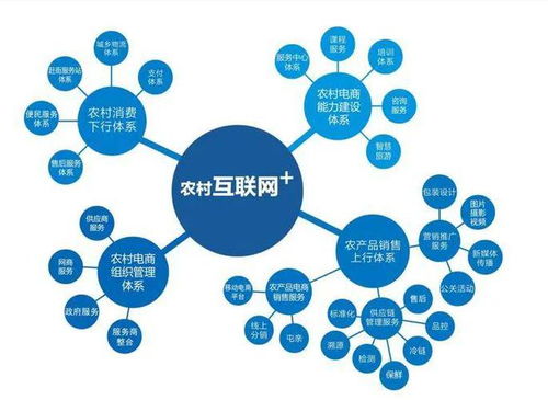 農(nóng)村電商的發(fā)展現(xiàn)狀、問題及趨勢(shì) 計(jì)算機(jī)技術(shù)服務(wù)的機(jī)遇與挑戰(zhàn)